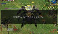 魔域私服：独特玩法背后隐藏的诸多问题与风险全解析