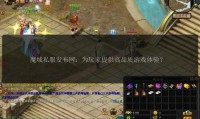 魔域私服发布网作用及存在问题：为玩家提供私服信息、交流平台