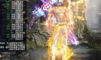 新开魔域私服游戏体验与服务器稳定性分析